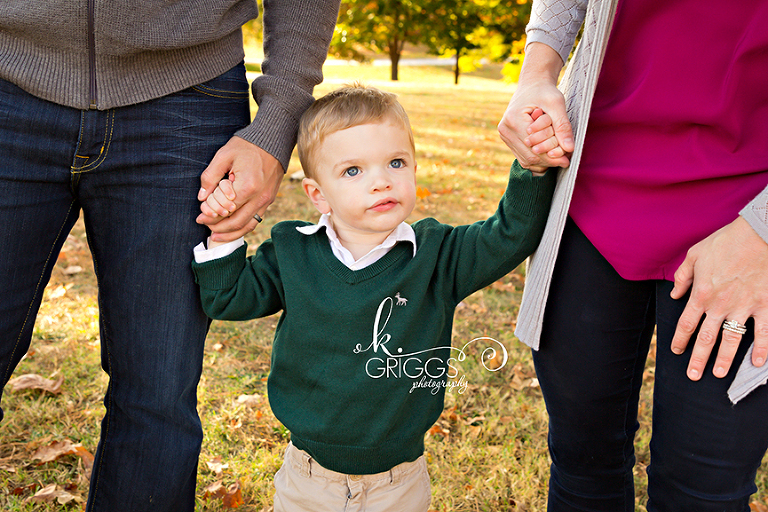 St. Louis Family Photographer - KGriggs Photography - little boy holding parents hands - Faust Park, St. Louis, MO