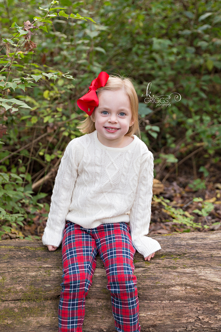 Young girl sitting on log smiling at camera | St. Louis Photographer