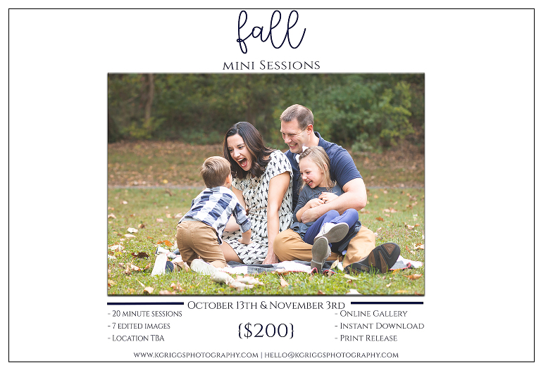 St. Louis Fall Mini Sessions 2018 | St. Louis Family Photographer